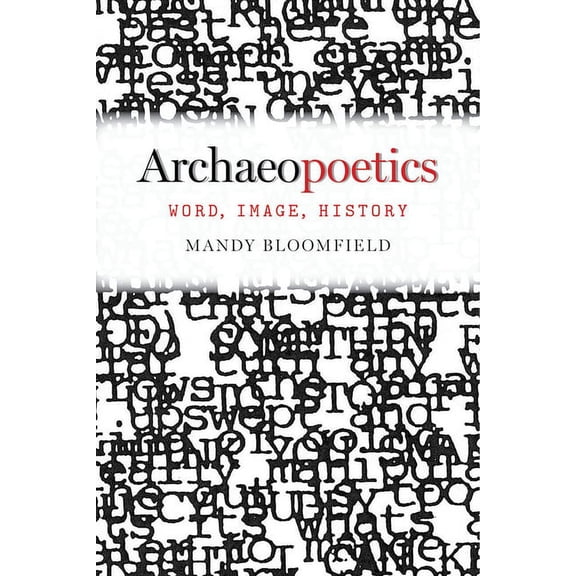 Modern and Contemporary Poetics: Archaeopoetics : Word, Image, History (Paperback)
