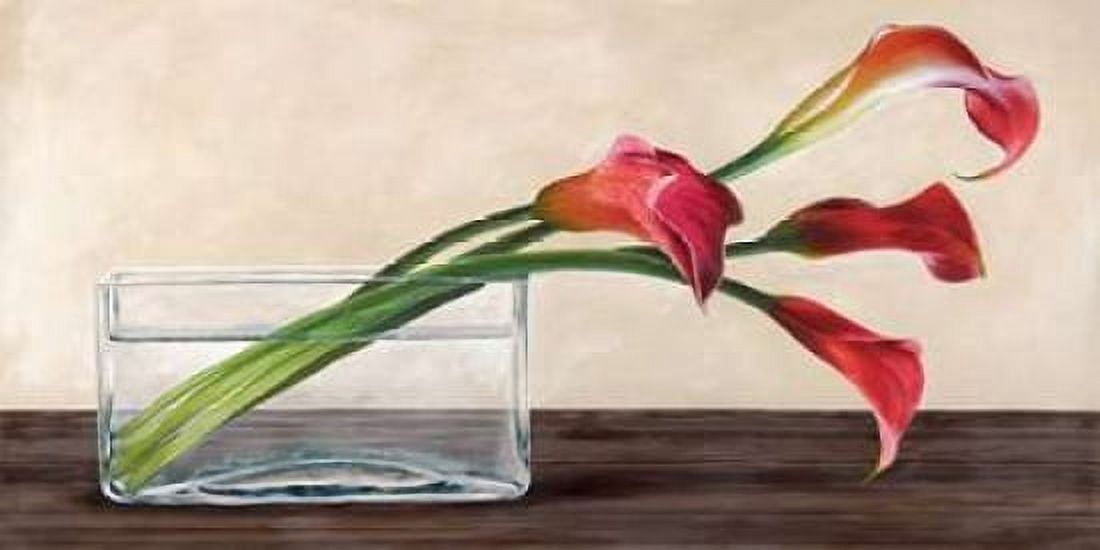 Modern composition Callas Canvas Art - Shin Mills (10 x 20)