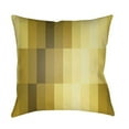 thumbnail image 1 of Moderne 20 x 20 x 4 Made to Order Throw Pillow, 1 of 5
