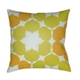 thumbnail image 1 of Moderne 22 x 22 x 5 Made to Order Throw Pillow, 1 of 7