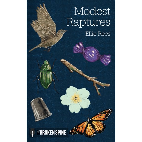Modest Raptures: Poems (Paperback) by Alan Parry, Ellie Rees