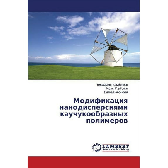 Modifikatsiya nanodispersiyami kauchukoobraznykh polimerov (Paperback)