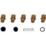 Modine 53081 Gas to LP Conversion Kit for 125K BTU