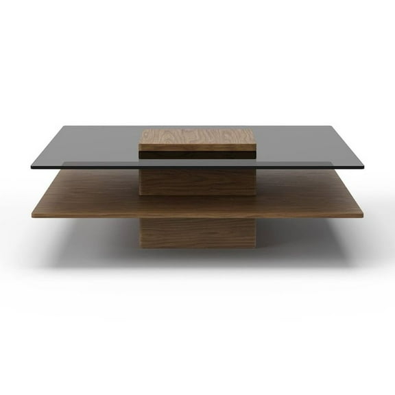 Modrest Clarion - Modern Walnut & Grey Glass Coffee Table