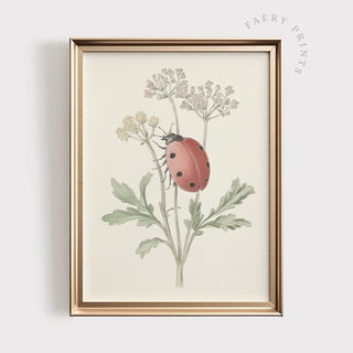 ladybug drawing on wall