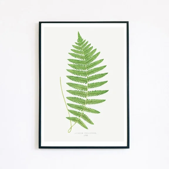 Modroom Vintage Fern Botanical Plant Illustration Home Decor Retro Wall Art Print Wall Art, Modern Wall Decor, 8x12 UNFRAMED