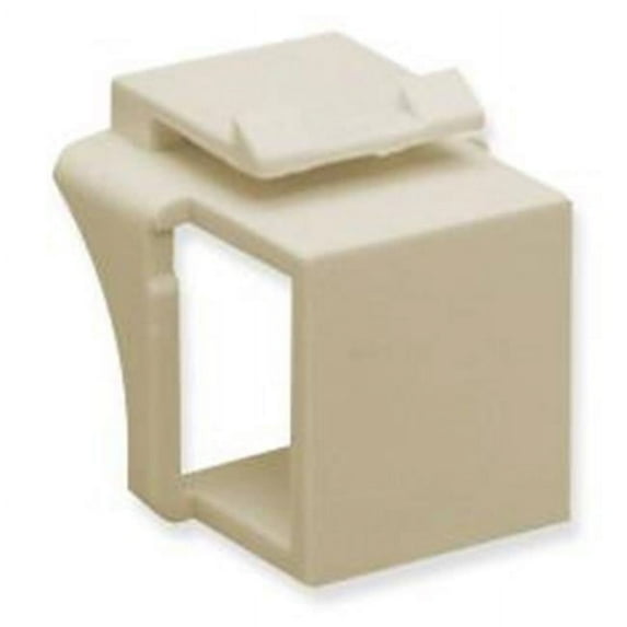 Module Fill in Blank, Ivory