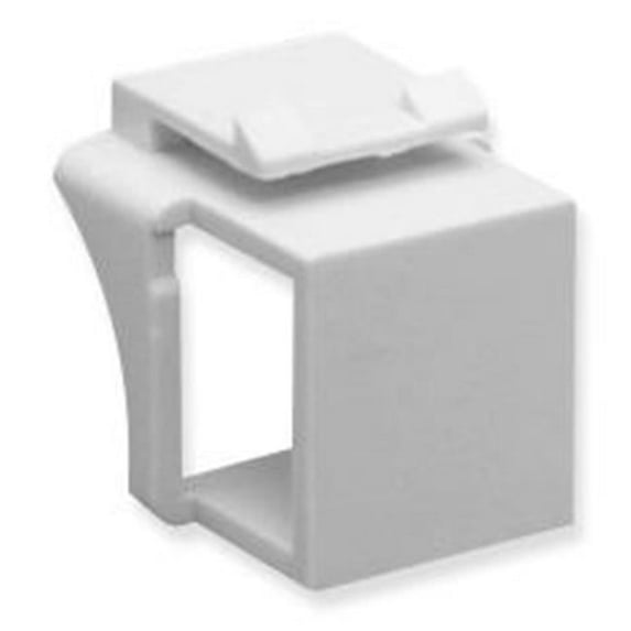 Module Fill in Blank, White