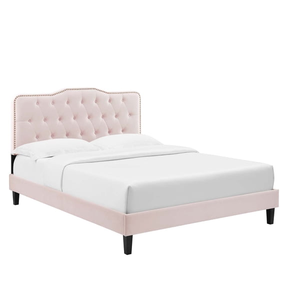 Modway Amber Modern Style Performance Velvet Twin Platform Bed in Pink