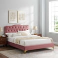 thumbnail image 1 of Modway Amber Performance Velvet Queen Platform Bed in Dusty Rose, 1 of 10