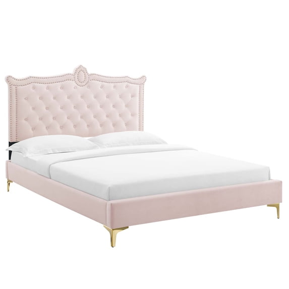 Modway Clara Performance Velvet Queen Platform Bed in Pink