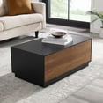 thumbnail image 1 of Modway Holden 2-Drawer Wood Coffee Table in Black and Walnut, 1 of 10