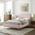 thumbnail image 1 of Modway Lana Queen Performance Velvet Wingback Platform Bed, Pink, 1 of 10