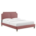 thumbnail image 1 of Modway Novi Performance Velvet Queen Bed in Dusty Rose, 1 of 9