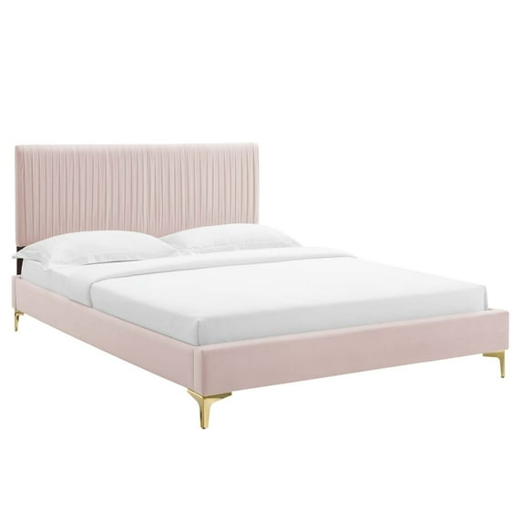 Modway Peyton Performance Velvet Queen Platform Bed in Pink