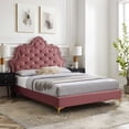 thumbnail image 1 of Modway Sasha Button-Tufted Performance Velvet Queen Bed in Dusty Rose, 1 of 10
