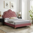 thumbnail image 1 of Modway Sasha Button-Tufted Performance Velvet Twin Bed in Dusty Rose, 1 of 10