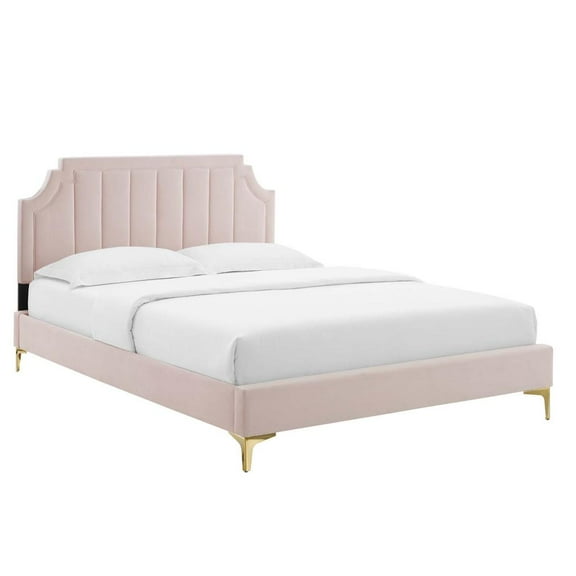 Modway Sienna Modern Performance Velvet Queen Platform Bed - Pink
