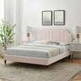 thumbnail image 1 of Modway Sienna Performance Velvet Queen Platform Bed in Pink, 1 of 10
