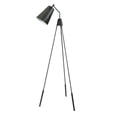 thumbnail image 1 of Moe's Amato Floor Lamp in Silver, 1 of 7