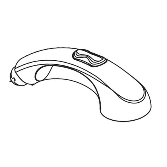 Moen 124738 Replacement Pull-Out Wand - Glacier