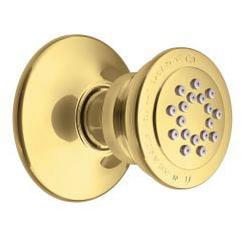 Polished Brass Single-Function Body Sprayer for M-PACT System