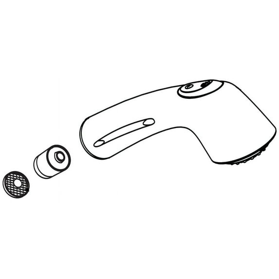 Moen Pullout Spout, Extensa in Chrome Faucet