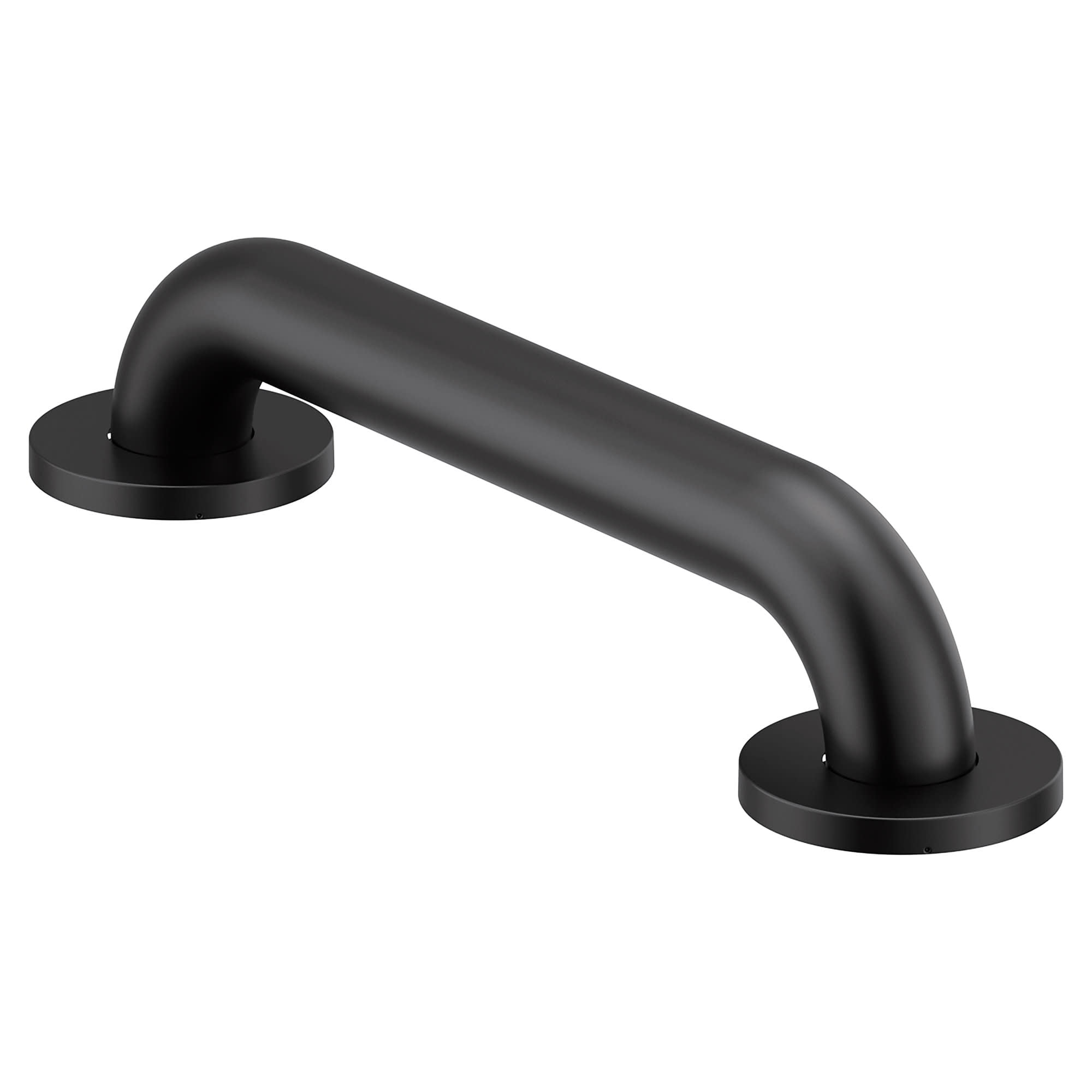Matte Black 12-Inch Stainless Steel Bathroom Grab Bar