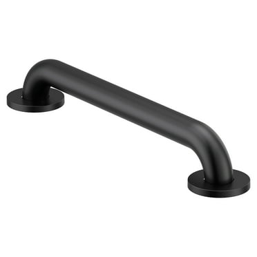 Moen R8916 Home Care 16" Grab Bar - Black