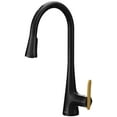 thumbnail image 1 of Moen S7235EV Black Smart Single Hole Pull Down Faucet, 1 of 7