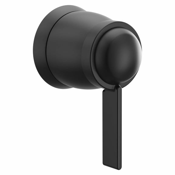 Moen T4622 Black Manual Zinc 1-Handle Shower Valve Trim