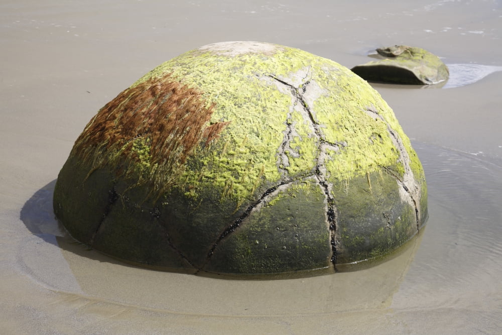 Moeraki Boulder Koekohe Beach New Zealand Canvas Art - Richard RoscoeStocktrek Images (18 x 12)
