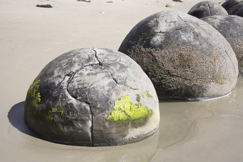 Moeraki Boulders Koekohe Beach New Zealand Canvas Art - Richard RoscoeStocktrek Images (18 x 12)