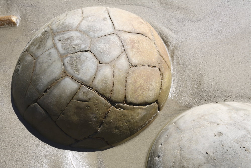 Moeraki Boulders Koekohe Beach New Zealand Canvas Art - Richard RoscoeStocktrek Images (18 x 12)