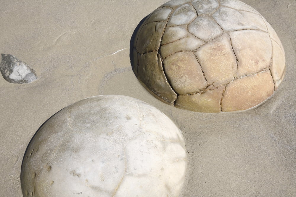 Moeraki Boulders Koekohe Beach New Zealand Canvas Art - Richard RoscoeStocktrek Images (18 x 12)