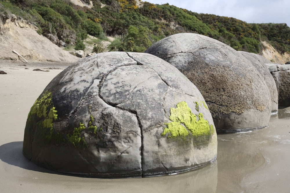 Moeraki Boulders Koekohe Beach New Zealand Canvas Art - Richard RoscoeStocktrek Images (18 x 12)