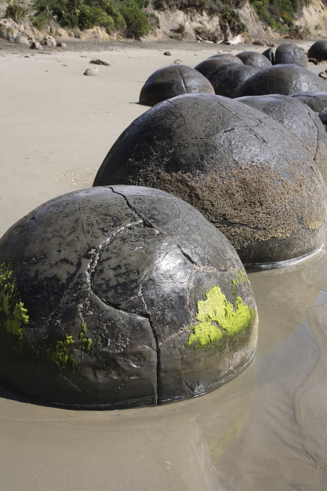 Moeraki Boulders Koekohe Beach New Zealand Canvas Art - Richard RoscoeStocktrek Images (23 x 35)