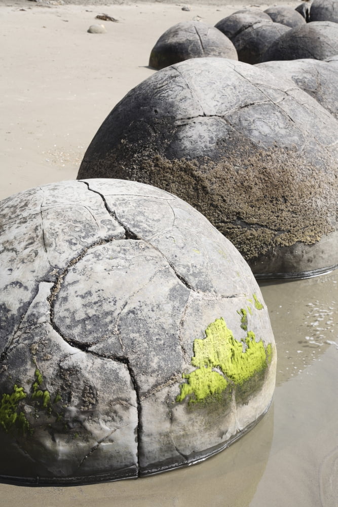 Moeraki Boulders Koekohe Beach New Zealand Canvas Art - Richard RoscoeStocktrek Images (23 x 35)