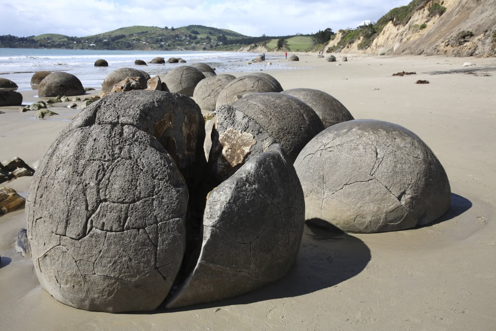 Moeraki Boulders Koekohe Beach New Zealand Canvas Art - Richard RoscoeStocktrek Images (35 x 23)