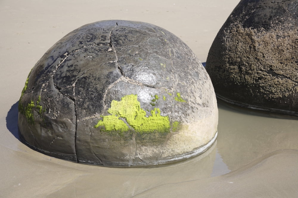 Moeraki Boulders Koekohe Beach New Zealand Canvas Art - Richard RoscoeStocktrek Images (35 x 23)