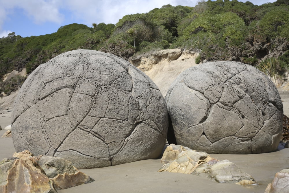 Moeraki Boulders Koekohe Beach New Zealand Canvas Art - Richard RoscoeStocktrek Images (35 x 23)