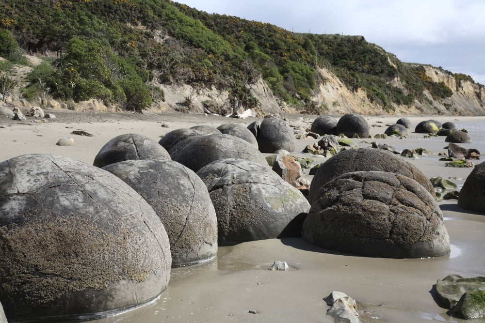 Moeraki Boulders Koekohe Beach New Zealand Canvas Art - Richard RoscoeStocktrek Images (35 x 23)
