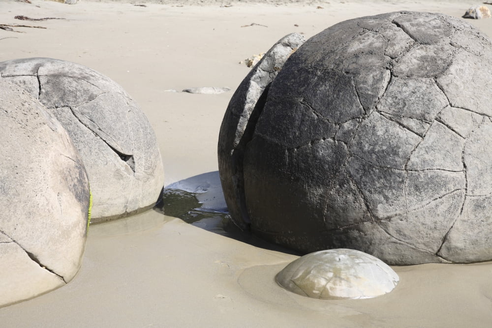 Moeraki Boulders Koekohe Beach New Zealand Canvas Art - Richard RoscoeStocktrek Images (35 x 23)
