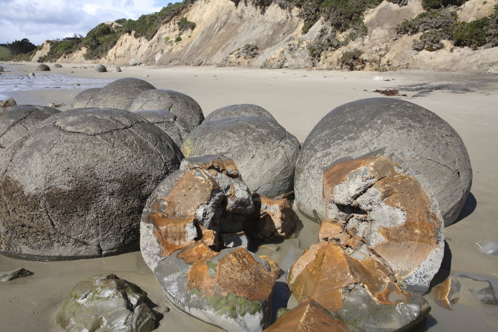 Moeraki Boulders Koekohe Beach New Zealand Canvas Art - Richard RoscoeStocktrek Images (35 x 23)