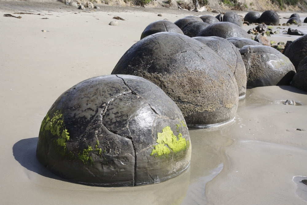 Moeraki Boulders Koekohe Beach New Zealand Canvas Art - Richard RoscoeStocktrek Images (35 x 23)