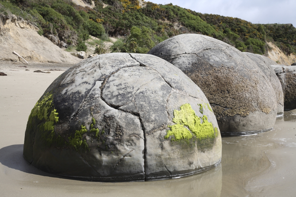 Moeraki Boulders Koekohe Beach New Zealand Canvas Art - Richard RoscoeStocktrek Images (35 x 23)