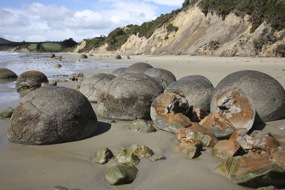 Moeraki Boulders Koekohe Beach New Zealand Canvas Art - Richard RoscoeStocktrek Images (35 x 23)