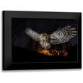 thumbnail image 1 of Moglia, Fabrizio 24x17 Black Modern Framed Museum Art Print Titled - Tawny Owl And The False Fire, 1 of 5