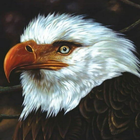 Mogwai - Hawk Is Howling - Music & Performance - CD
