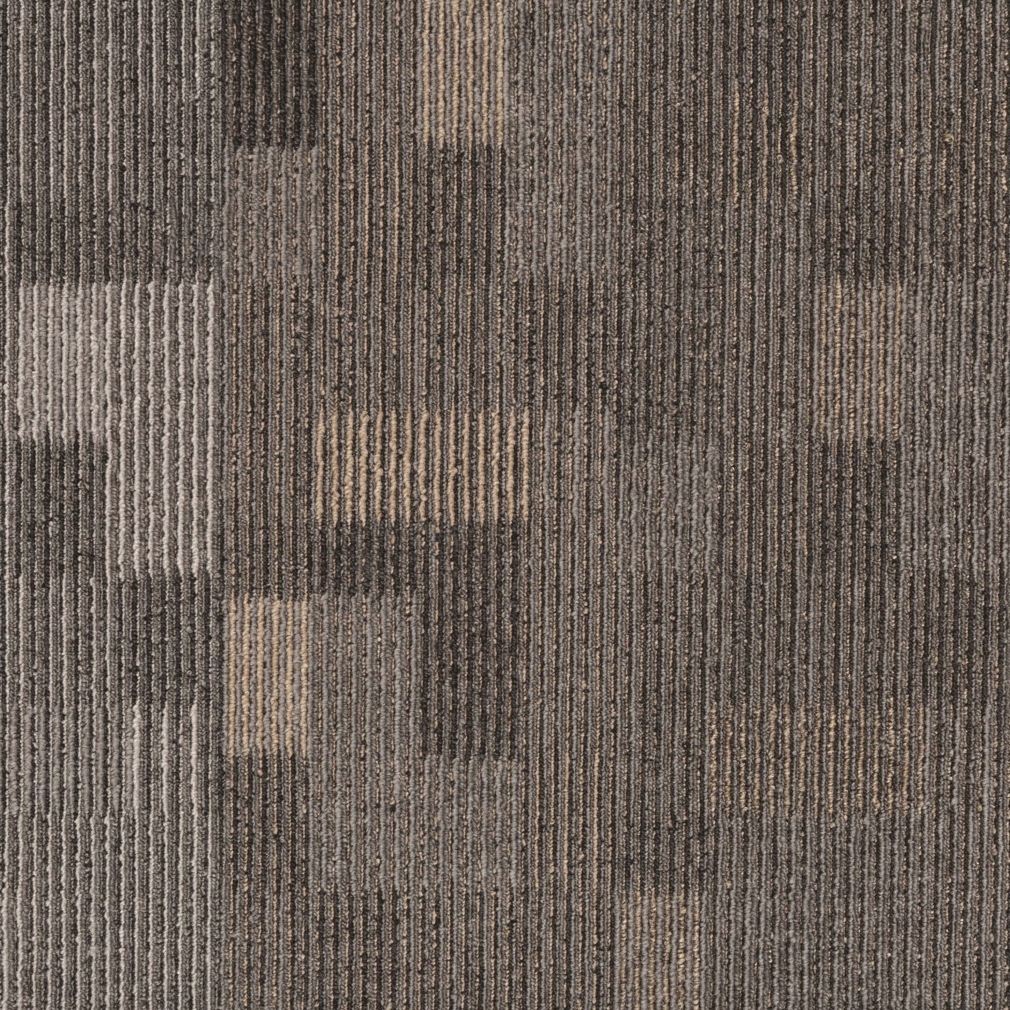 Stone Walk 24" x 24" Low Pile PET Carpet Tile